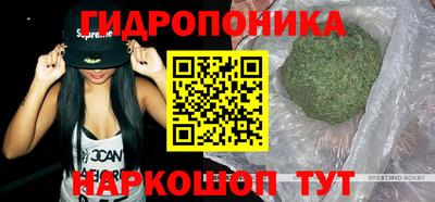 гидра Кинель