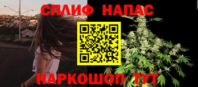 гидра Кинель