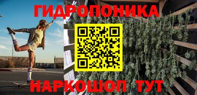 гидропоника Кингисепп