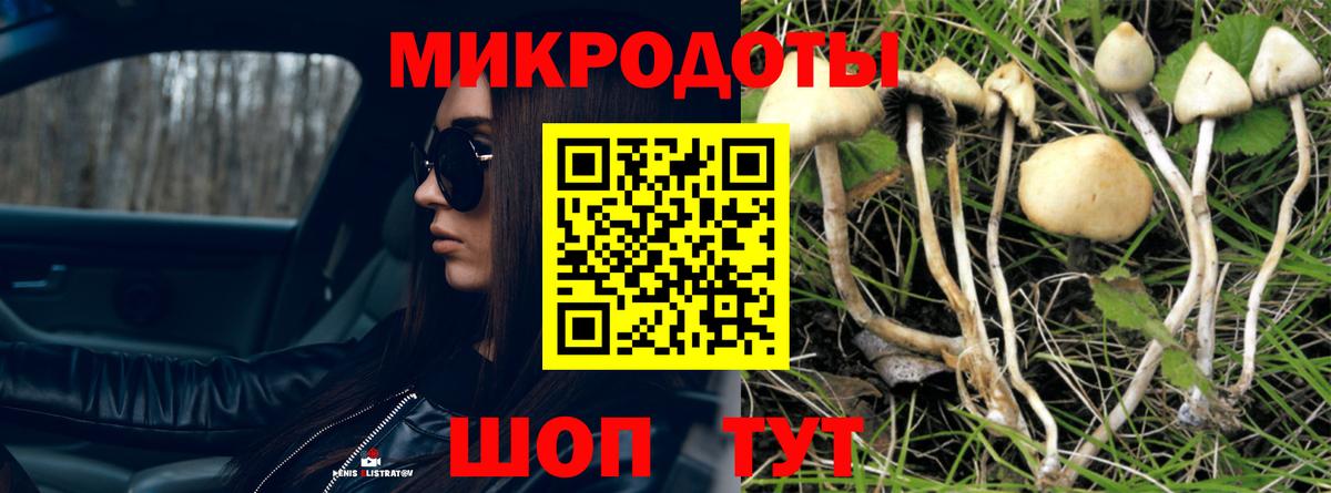 Галлюциногенные грибы Psilocybine cubensis Кумертау