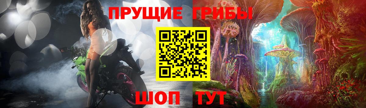 продажа наркотиков  Вход с VPN  Кумертау  Галлюциногенные грибы GOLDEN TEACHER 